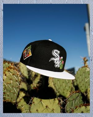 Image post by @whitesox on Instagram