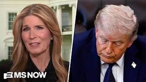 Video post by @msnbc on YouTube
