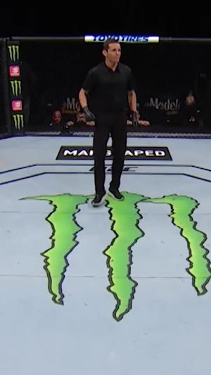 Video post by @ufcbrasil on TikTok