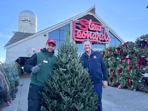 Image post by @stewleonards on Instagram