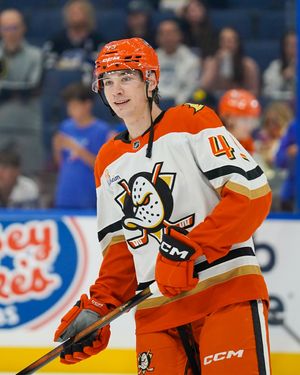 Image post by @anaheimducks on Instagram