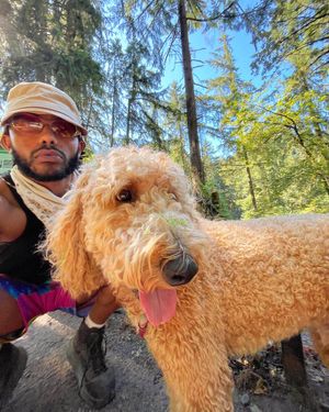 Image post by @amine on Instagram