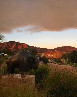 Image post by @cubuffsvb on Instagram