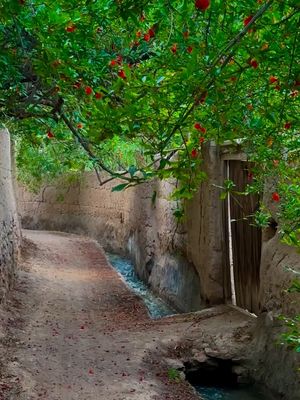 Image post by @travelgardi on Instagram