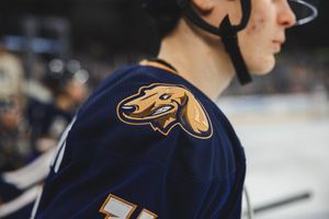 Image post by @sfstampede on Twitter