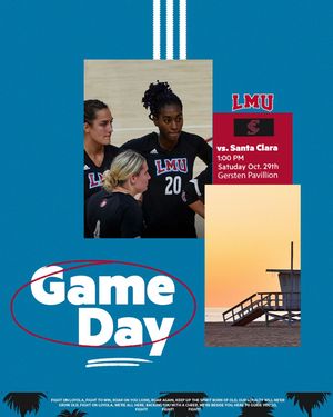Image post by @lmulionswvb on Instagram