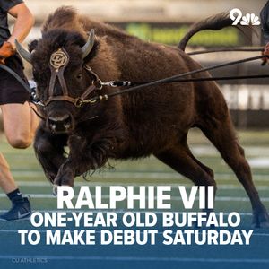 Image post by @9newsdenver on Instagram