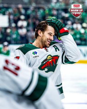 Image post by @minnesotawild on Instagram