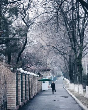 Image post by @instaz1z on Instagram