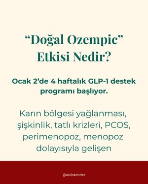 Image post by @asliokender on Instagram