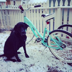 Image post by @breckenridgemtn on Instagram