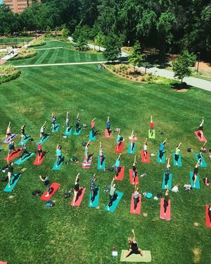 Image post by @ncstate on Instagram
