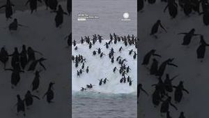 Video post by @accuweather on YouTube