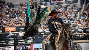 Video post by @pbr on YouTube