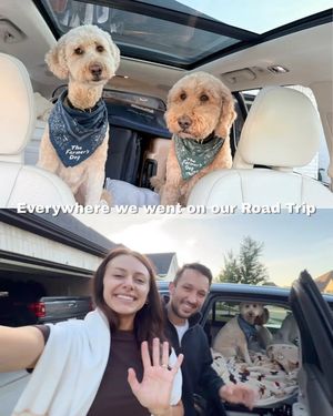 Image post by @movinwithmandy on Instagram