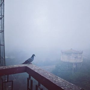 Image post by @bakedbaba93 on Instagram