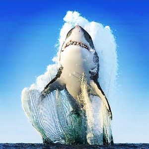 Image post by @trevorfarnes on Instagram