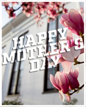 Image post by @UGAAthletics on Twitter