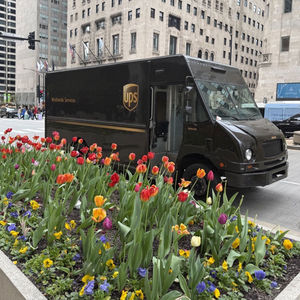 Image post by @ups on Instagram