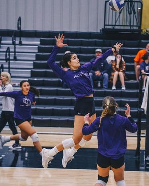 Image post by @sfa_volleyball on Instagram