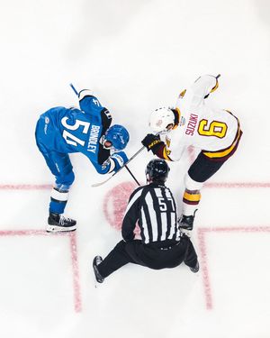 Image post by @theahl on Instagram