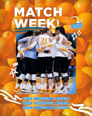 Image post by @vol_vball on Instagram