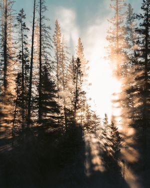 Image post by @bill.yao on Instagram