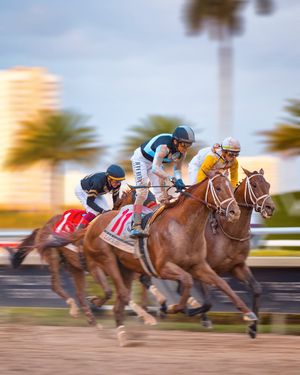 Image post by @pegasusworldcup on Instagram