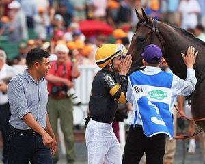 Image post by @thebloodhorse on Instagram