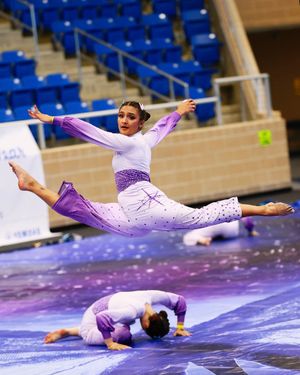 Image post by @wgisportofthearts on Instagram