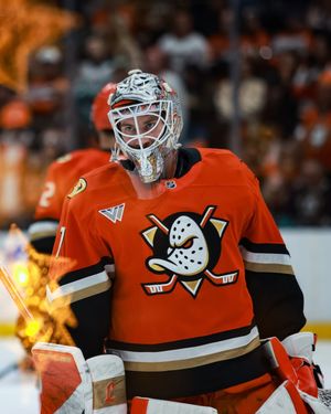 Image post by @anaheimducks on Instagram