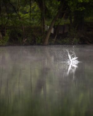 Image post by @brothercarp on Instagram