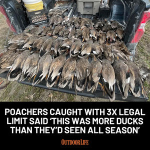 Image post by @outdoor_life on Instagram