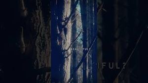 Video post by @betternoisemusic on YouTube