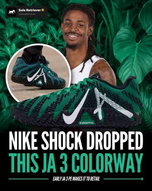 Image post by @soleretriever on Instagram