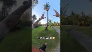 Video post by @espn on YouTube