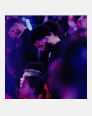 Image post by @stegnermedia on Instagram