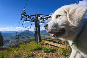 Image post by @skicrestedbutte on Instagram
