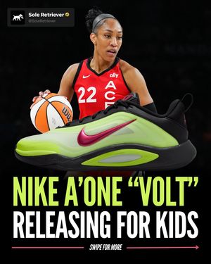 Image post by @soleretriever on Instagram