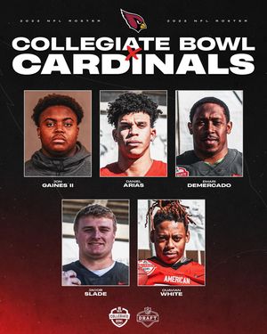 Image post by @nflpabowl on Instagram