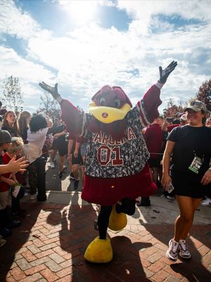 Image post by @shotwithgrace on Instagram