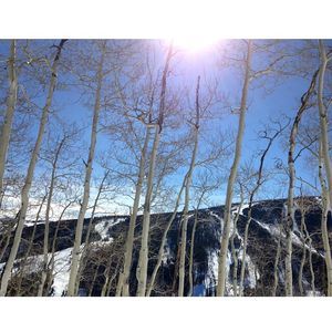 Image post by @beavercreek on Instagram