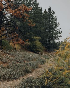 Image post by @takenbykathleen on Instagram