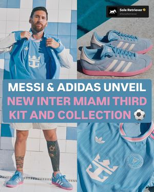 Image post by @soleretriever on Instagram