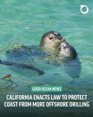 Image post by @oceana on Instagram