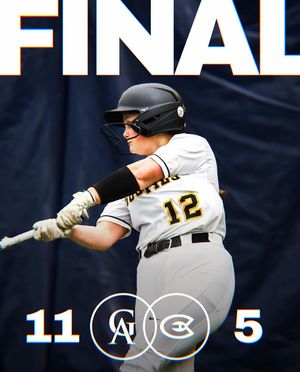 Image post by @gustiesoftball on Instagram