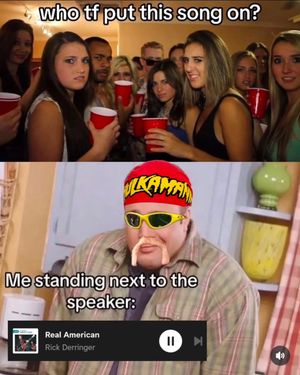 Image post by @themachoverse on Instagram