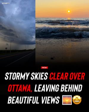 Image post by @shottawa.tv on Instagram