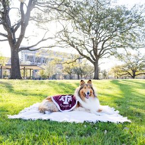 Image post by @missrevx on Instagram