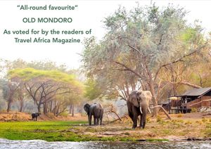 Image post by @chiawasafaris on Instagram
